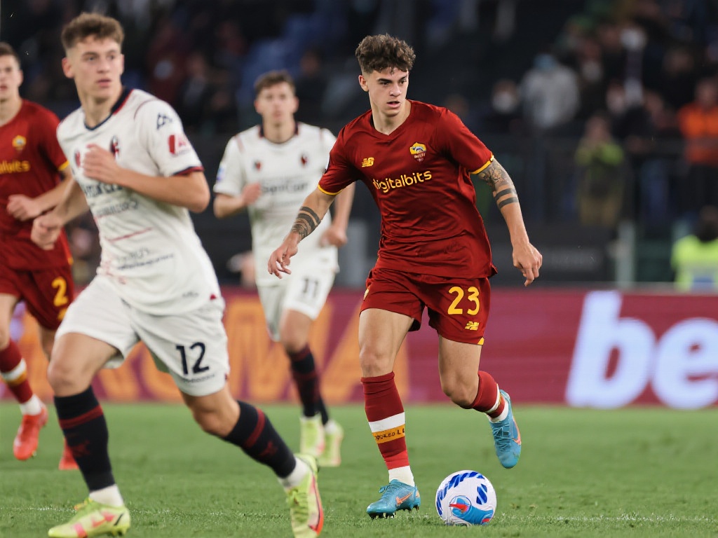 向的广泛猜 向的广泛猜